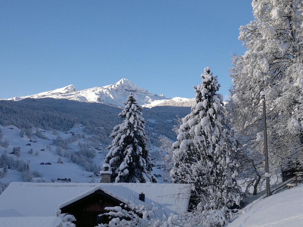 Locherboden Grindelwald Kamer foto