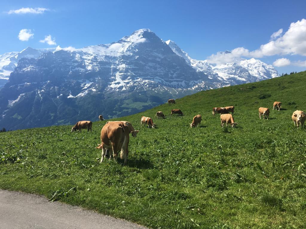 Locherboden Grindelwald Buitenkant foto